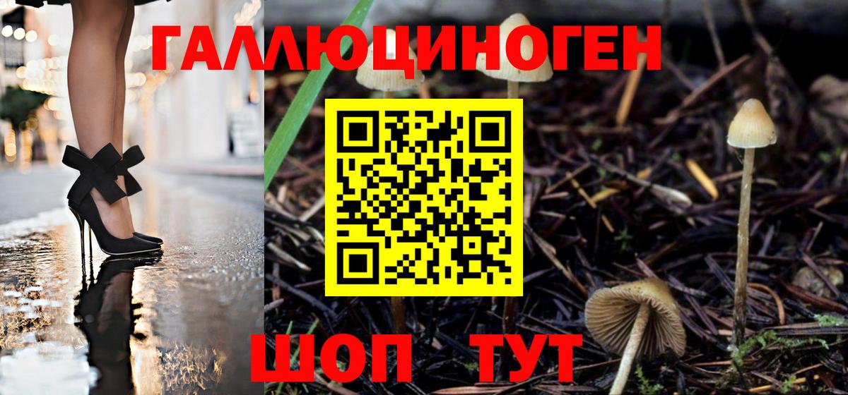 Псилоцибиновые грибы мицелий  Псилоцибиновые грибы мицелий  Вход с VPN  Будённовск 