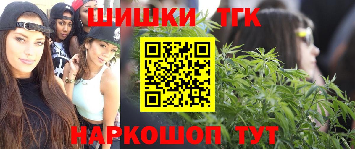 Канабис сатива Будённовск